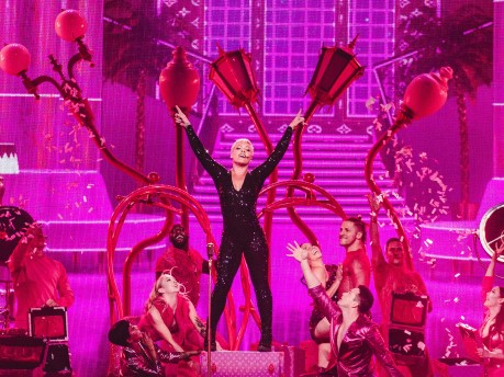 P!NK Abbildung von P!NK